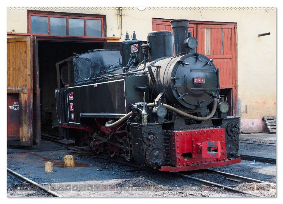 Waldbahnen in Rumänien - Die letzten Mocanitas (CALVENDO Premium Wandkalender 2025)