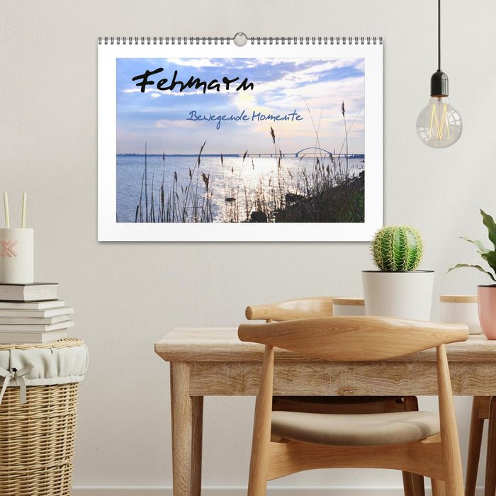 Fehmarn - Bewegende Momente (CALVENDO Wandkalender 2025)