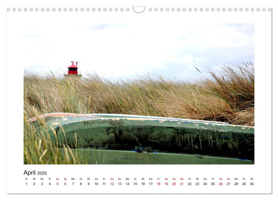 Fehmarn - Bewegende Momente (CALVENDO Wandkalender 2025)