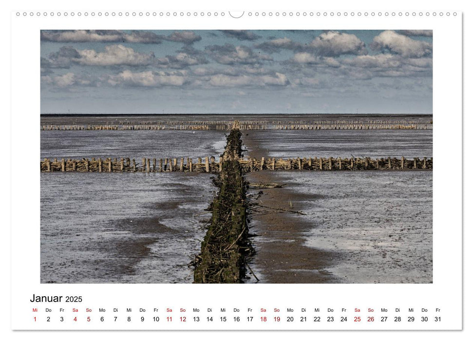 Friedrichskoog Spitze (CALVENDO Premium Wandkalender 2025)