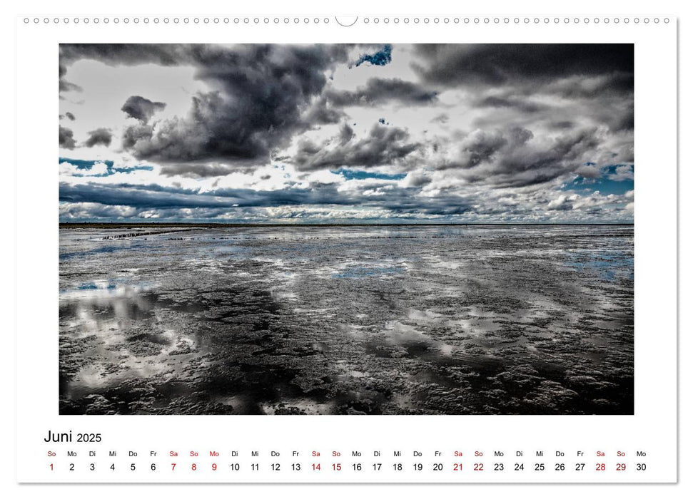 Friedrichskoog Spitze (CALVENDO Premium Wandkalender 2025)