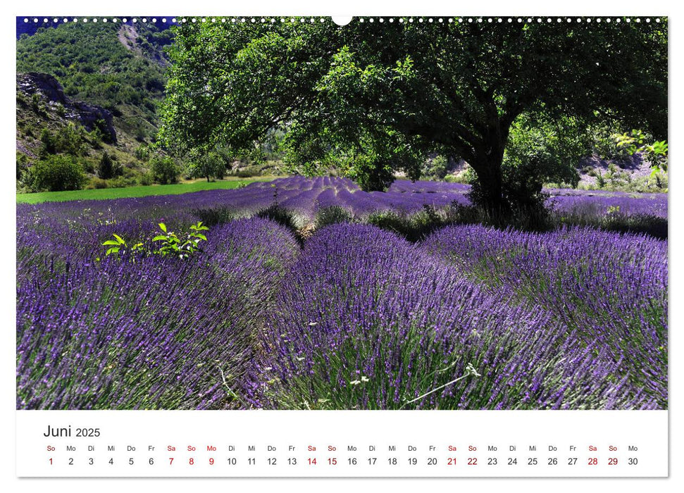 Relax, Momente der Ruhe (CALVENDO Premium Wandkalender 2025)