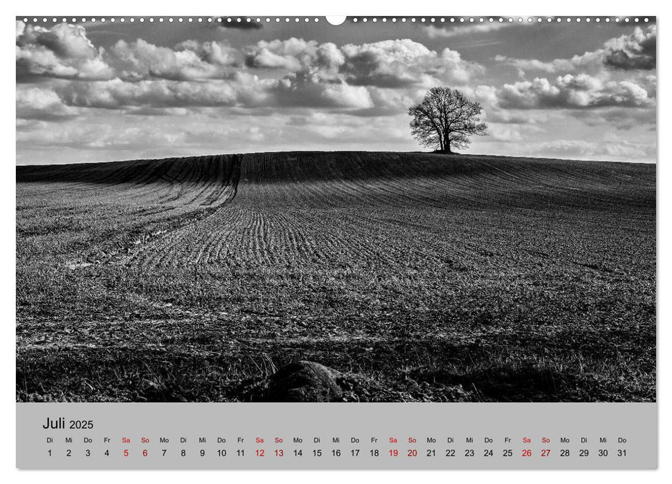 Lausitz Impressionen (CALVENDO Premium Wandkalender 2025)