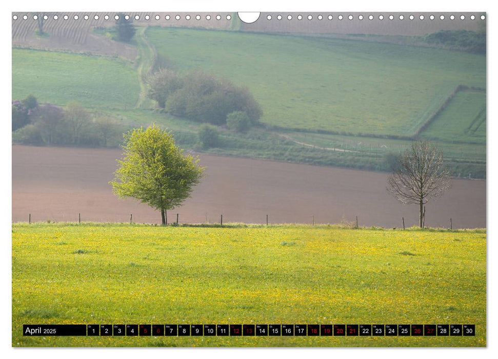 Die westliche Eifel (CALVENDO Wandkalender 2025)