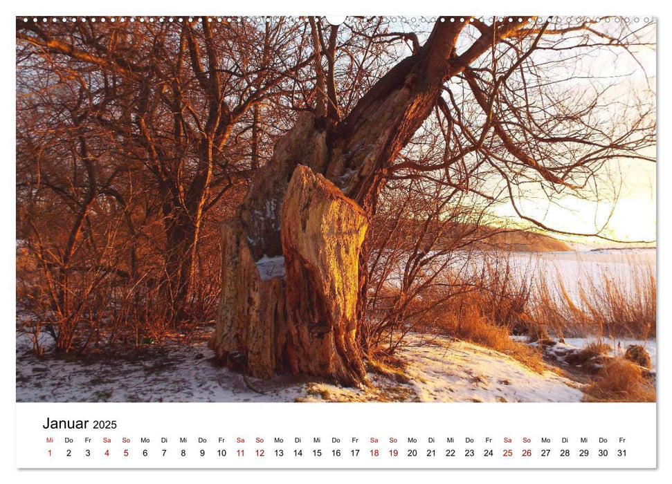 Rügen mit meinen Augen (CALVENDO Wandkalender 2025)