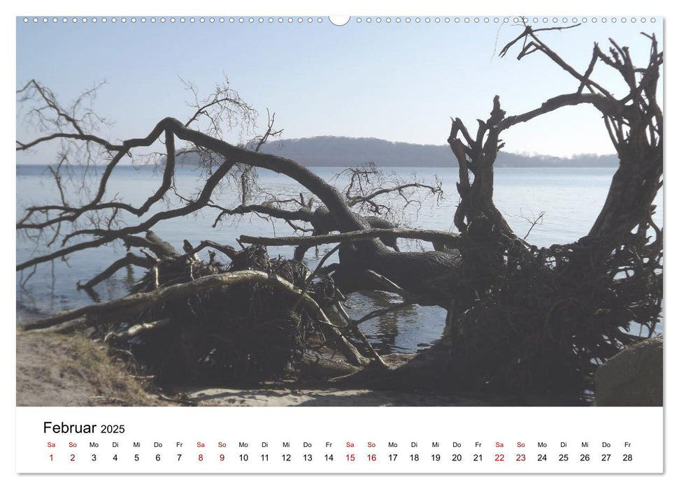 Rügen mit meinen Augen (CALVENDO Wandkalender 2025)