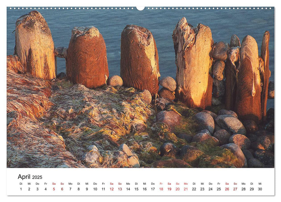 Rügen mit meinen Augen (CALVENDO Wandkalender 2025)