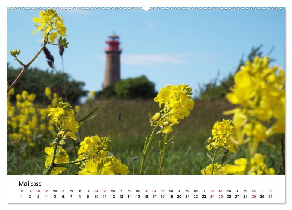 Rügen mit meinen Augen (CALVENDO Wandkalender 2025)