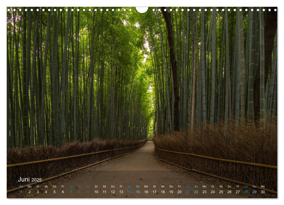 Japan - Im Land der aufgehenden Sonne (CALVENDO Wandkalender 2025)