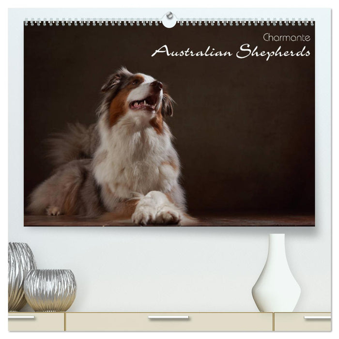 Charmante Australian Shepherds (CALVENDO Premium Wandkalender 2025)