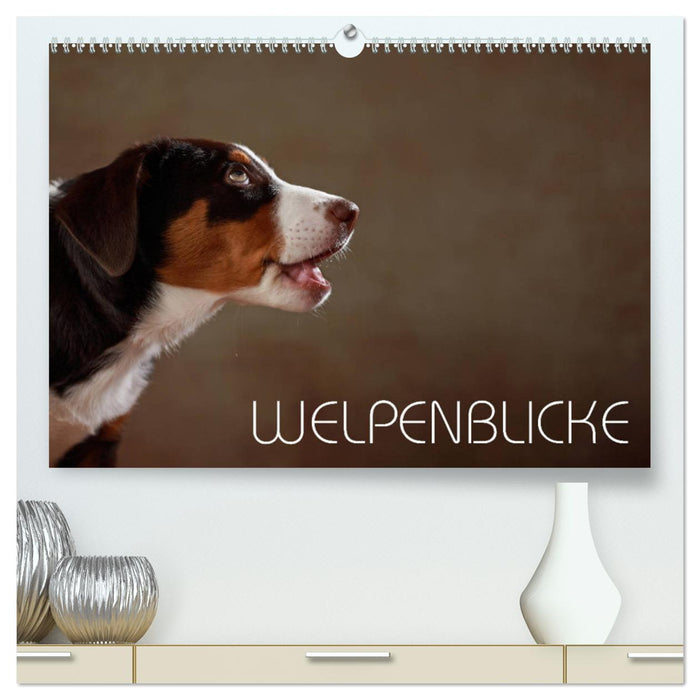 Welpenblicke (CALVENDO Premium Wandkalender 2025)