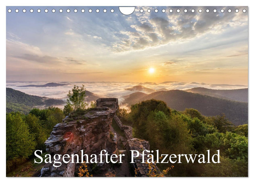 Sagenhafter Pfälzerwald (CALVENDO Wandkalender 2025)