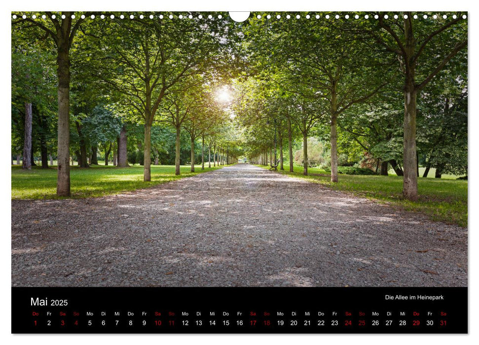 Rudolstadt bei Tag und Nacht (CALVENDO Wandkalender 2025)