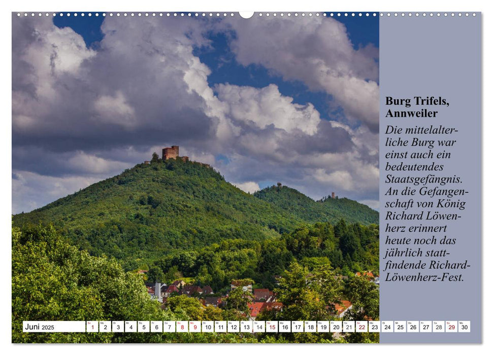 Reise in die Südpfalz (CALVENDO Premium Wandkalender 2025)