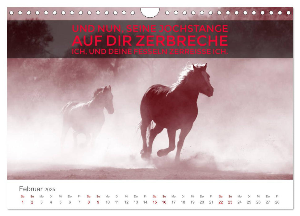 Bibelworte und andere Perlen (CALVENDO Wandkalender 2025)