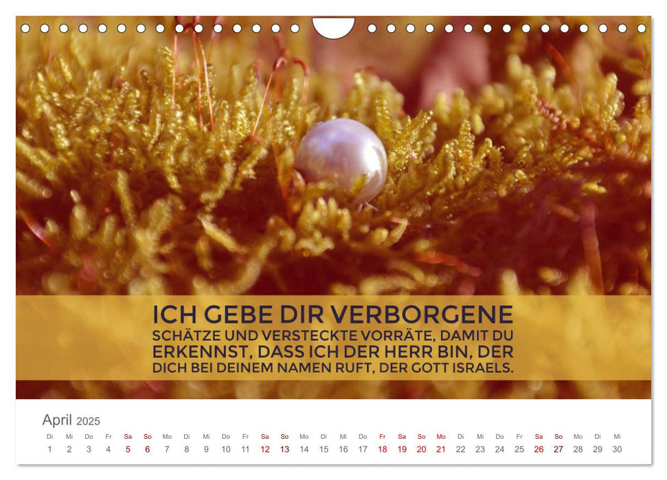 Bibelworte und andere Perlen (CALVENDO Wandkalender 2025)