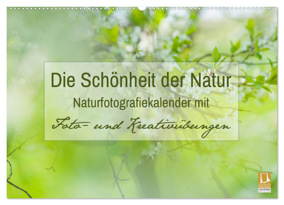 Die Schönheit der Natur - Naturfotografie-Kalender mit Foto- und Kreativübungen (CALVENDO Wandkalender 2025)