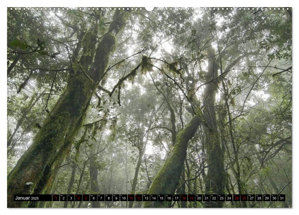 La Gomera - Ansichten und Aussichten (CALVENDO Wandkalender 2025)