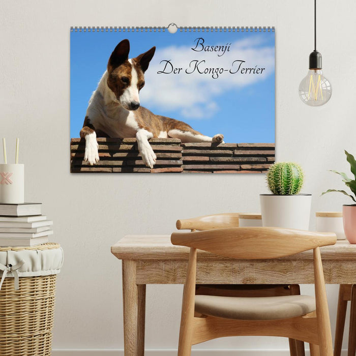 Basenji, der Kongo-Terrier (CALVENDO Wandkalender 2025)