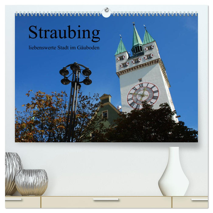 Straubing, liebenswerte Stadt im Gäuboden (CALVENDO Premium Wandkalender 2025)