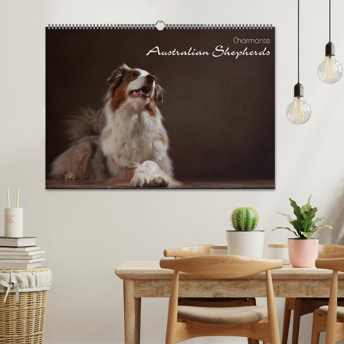 Charmante Australian Shepherds (CALVENDO Wandkalender 2025)