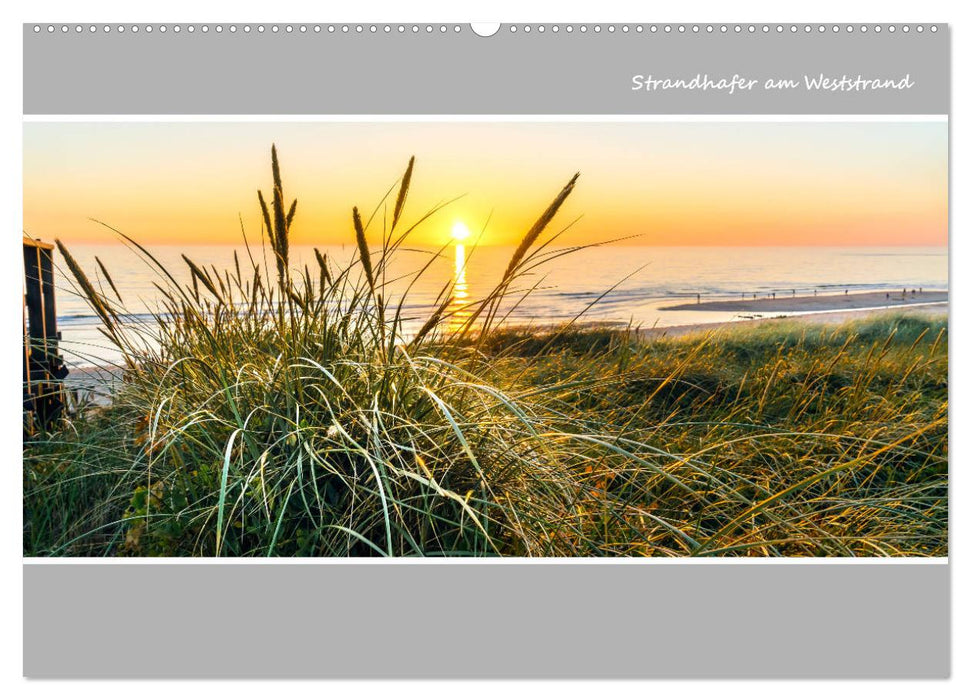 SYLT Inselpanorama (CALVENDO Wandkalender 2025)