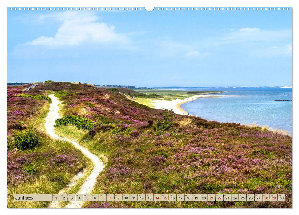 SYLT Dünenwege (CALVENDO Premium Wandkalender 2025)