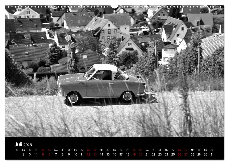 Goggomobil Coupè 250 TS in schwarzweiss (CALVENDO Premium Wandkalender 2025)