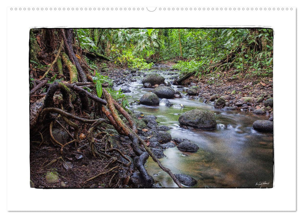 Costa Rica - Wilde Schönheit (CALVENDO Premium Wandkalender 2025)