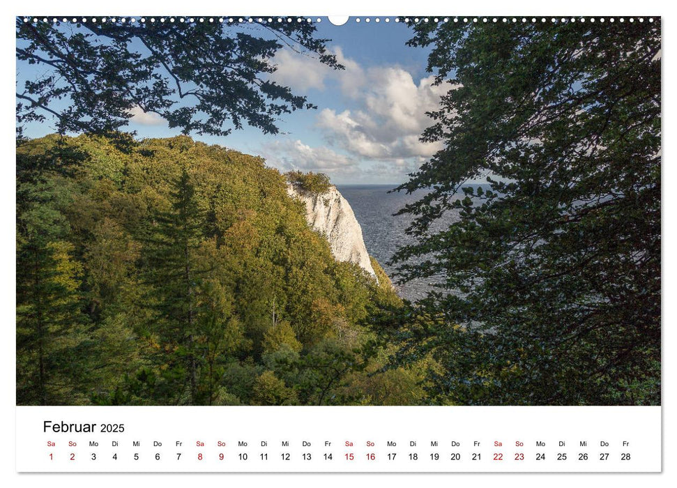 Traumhaftes Rügen (CALVENDO Premium Wandkalender 2025)