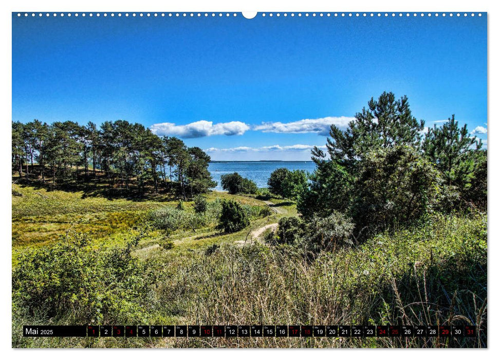 Das idyllische Usedom (CALVENDO Premium Wandkalender 2025)