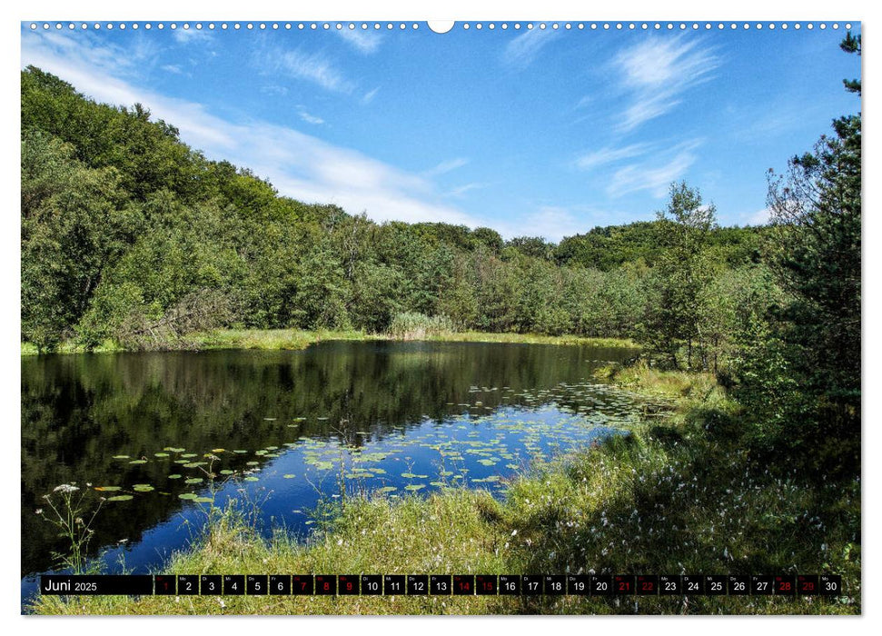 Das idyllische Usedom (CALVENDO Premium Wandkalender 2025)