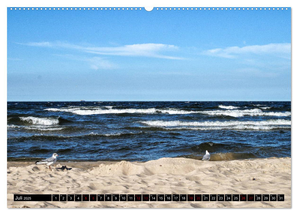 Das idyllische Usedom (CALVENDO Premium Wandkalender 2025)