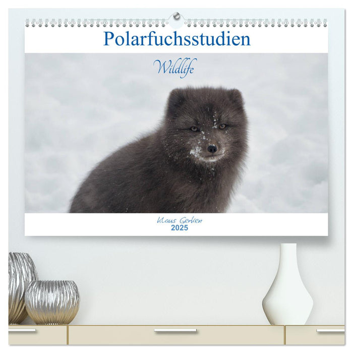 Polarfuchsstudien Wildlife (CALVENDO Premium Wandkalender 2025)