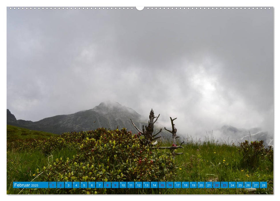 Südtirol - Alto Adige ...macht Lust auf Berge (CALVENDO Wandkalender 2025)