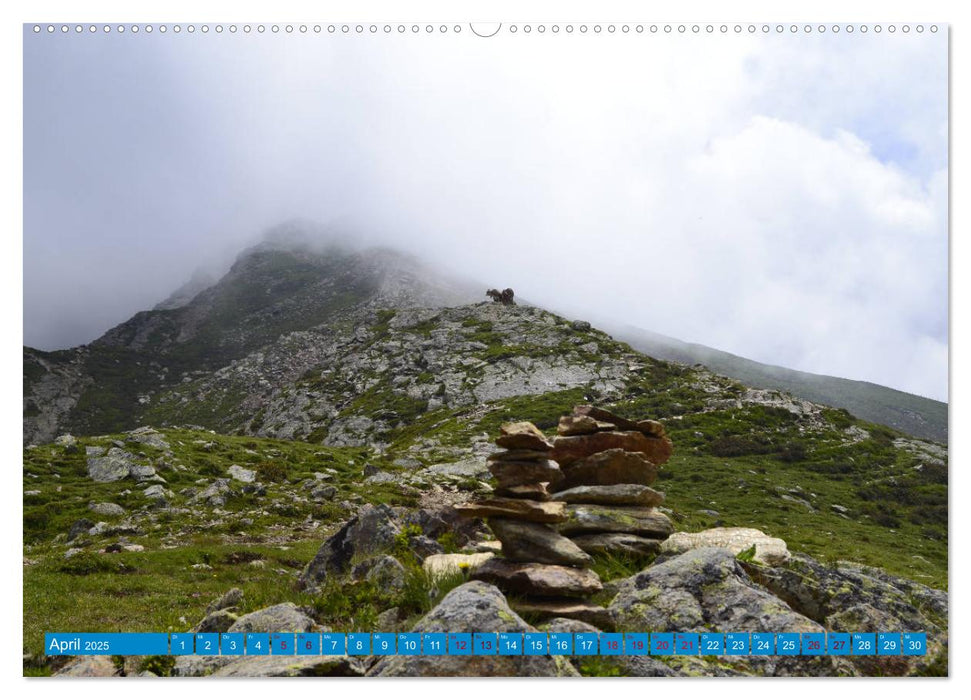 Südtirol - Alto Adige ...macht Lust auf Berge (CALVENDO Wandkalender 2025)