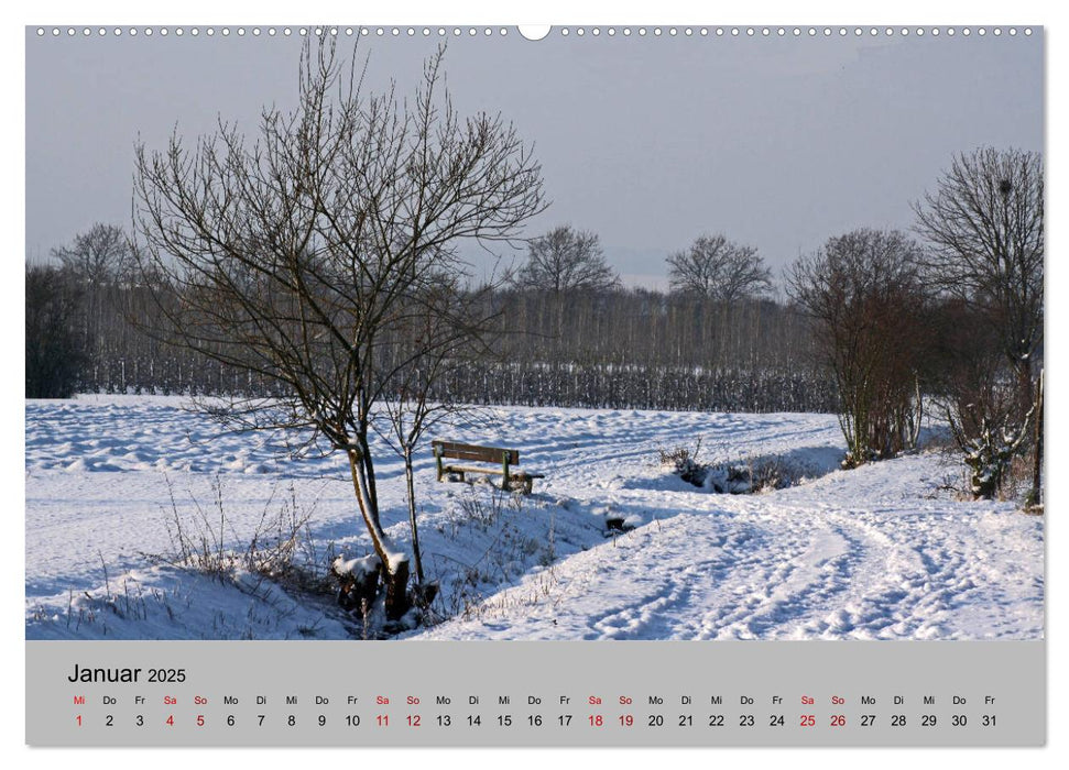 Unser Meckenheim (CALVENDO Wandkalender 2025)