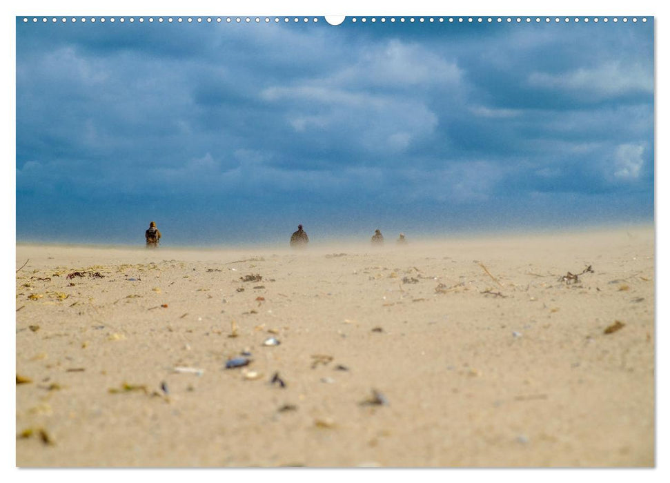 Ein Blick auf die Nordseeinsel Sylt (CALVENDO Premium Wandkalender 2025)