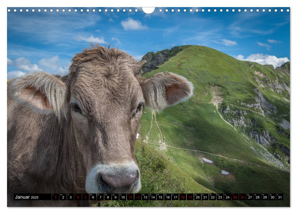 Oberallgäu - Oberstdorf und Umgebung (CALVENDO Wandkalender 2025)