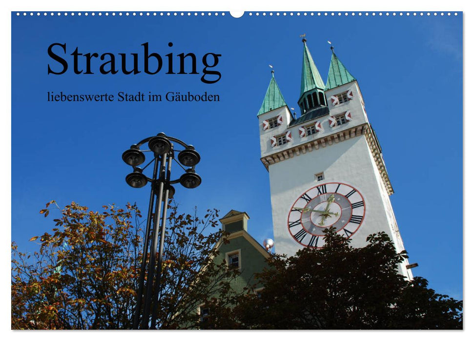 Straubing, liebenswerte Stadt im Gäuboden (CALVENDO Wandkalender 2025)