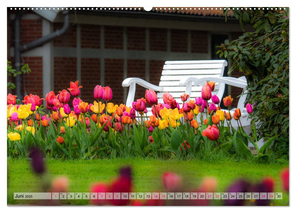 Schlossgarten Oldenburg. Ein Fotospaziergang (CALVENDO Premium Wandkalender 2025)