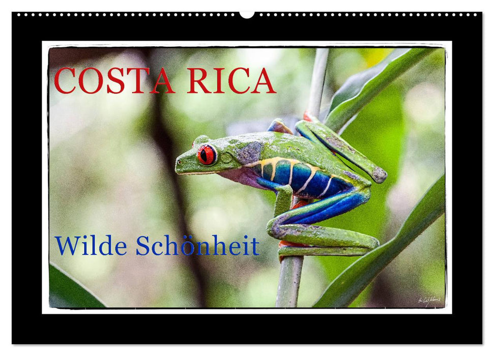 Costa Rica - Wilde Schönheit (CALVENDO Wandkalender 2025)