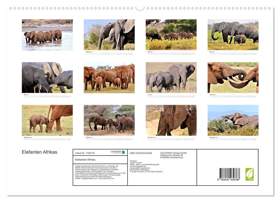 Elefanten Afrikas (CALVENDO Premium Wandkalender 2025)