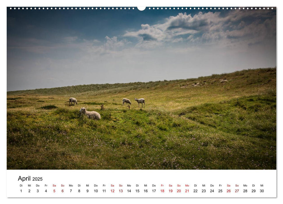 Ein Sommer auf Sylt (CALVENDO Premium Wandkalender 2025)