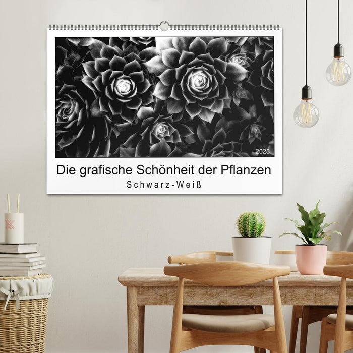 Die grafische Schönheit der Pflanzen – Schwarz-Weiß (CALVENDO Wandkalender 2025)