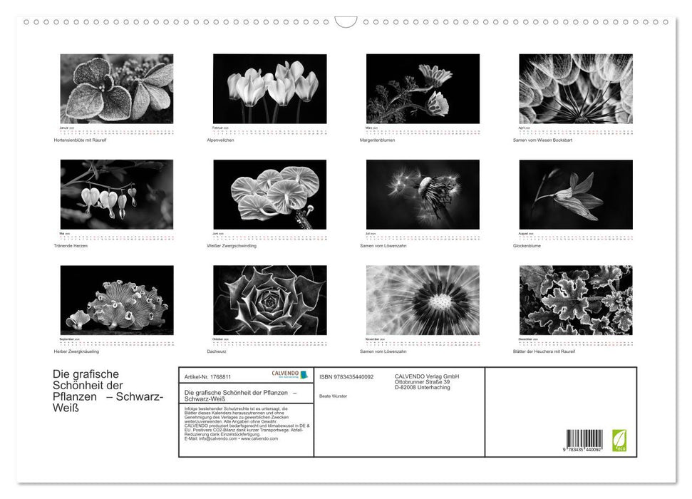 Die grafische Schönheit der Pflanzen – Schwarz-Weiß (CALVENDO Wandkalender 2025)