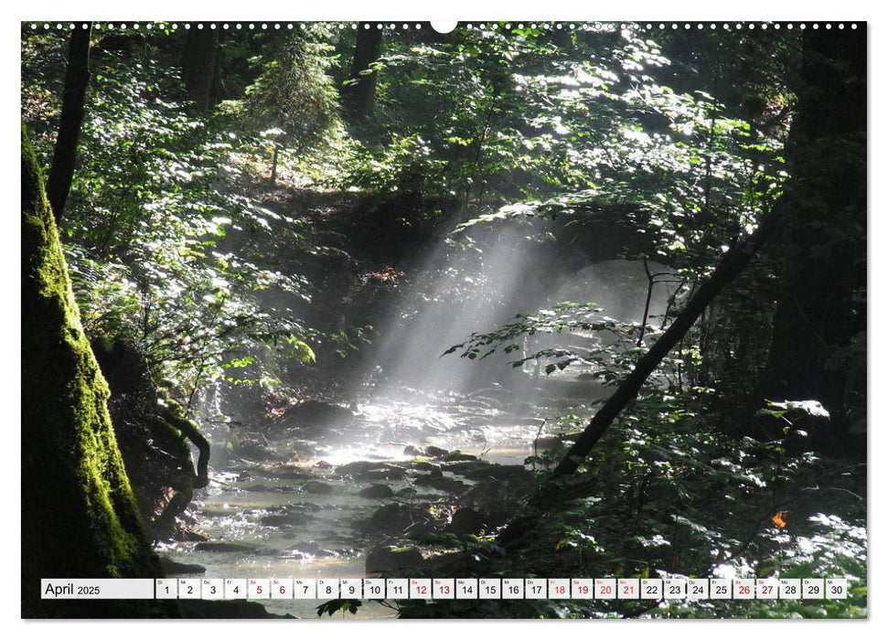 Göttererwachen. Die Natur im mystischen Nebel (CALVENDO Premium Wandkalender 2025)