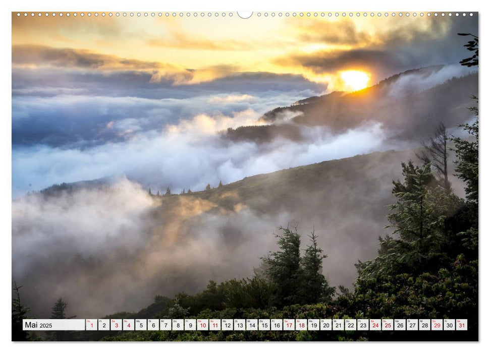 Göttererwachen. Die Natur im mystischen Nebel (CALVENDO Premium Wandkalender 2025)