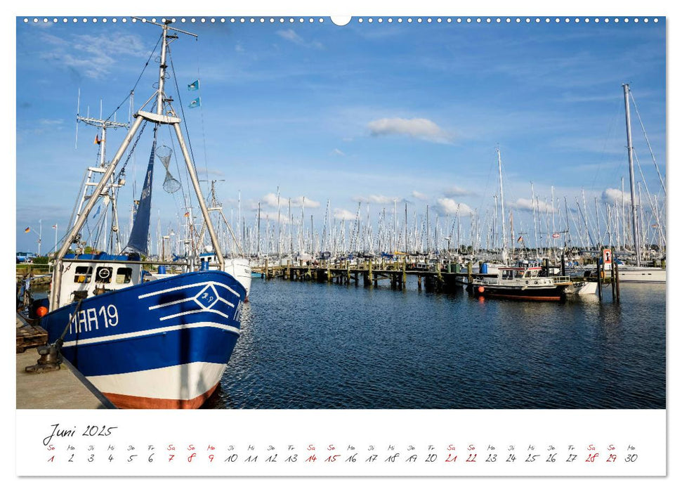 Maasholm - der Fischerort an Schlei und Ostsee (CALVENDO Premium Wandkalender 2025)