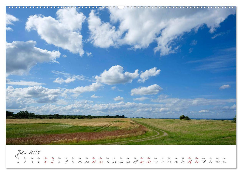 Maasholm - der Fischerort an Schlei und Ostsee (CALVENDO Premium Wandkalender 2025)